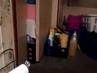 thickdick441981 — Camsoda stream photo (Jan 2026)