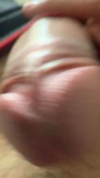 Tanofax24 — Cam4 stream photo (Feb 2026)