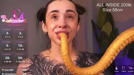 EvaCanton — Stripchat stream photo (Mar 2026)