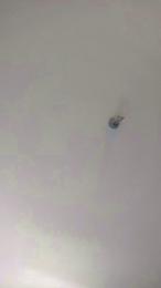 abel262 — 在 cam4 直播的网络摄像头模特