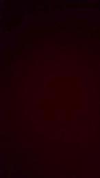 Cavaliere95 — Cam4 stream photo (May 2026)