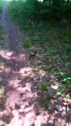 saarman33 — Cam4 stream photo (Jul 2026)