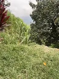 Marco_Vega — Stripchat stream photo (Mar 2026)