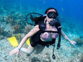 AliceSampaoli — Livejasmin stream photo (Jan 2026)