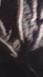 vale860 — 在 cam4 直播的网络摄像头模特