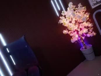 xforyoureyesonlyx — 在 chaturbate 直播的网络摄像头模特