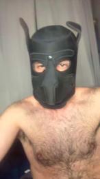 DILDOASS — Cam4 stream photo (Oct 2026)