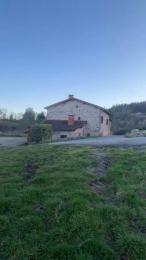 Nono42240 — Cam4 stream photo (Feb 2026)