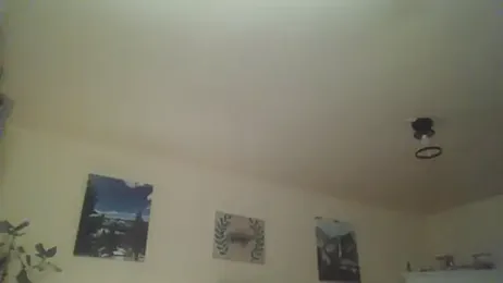 Allofitwayne — stripchat