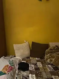 Hunkyardd — Stripchat stream photo (Jan 2026)