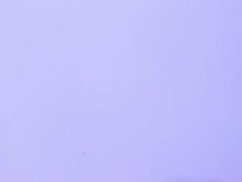 thedol1 — Chaturbate stream photo (Apr 2026)