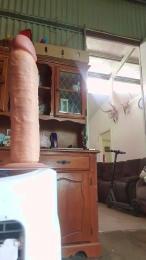 Liveformuff — Cam4 stream photo (Dec 2025)