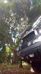 Liveformuff — Cam4 stream photo (Jan 2026)