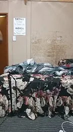 bakedsnackmmh — Stripchat stream photo (Aug 2026)