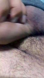 Elpibbe — Cam4 stream photo (Feb 2026)