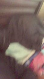 canelita69 — Cam4 profile photo