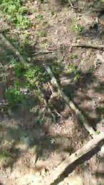 mecdu6031 — Cam4 stream photo (May 2026)