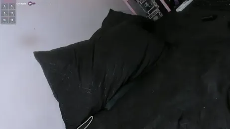 transilbriana — 在 stripchat 直播的网络摄像头模特