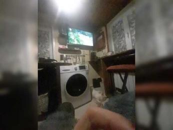 Sexy113bad — bongacams