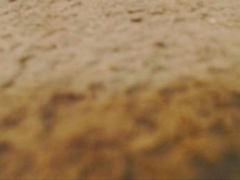 StudlyHardwood — 在 cam4 直播的网络摄像头模特