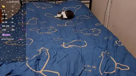 eva_zero — stripchat