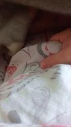 morenoymorena — Cam4 stream photo (Nov 2025)