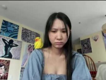 alizezaide — Chaturbate stream photo (Apr 2026)