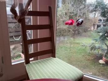 patry333 — Chaturbate stream photo (Mar 2026)