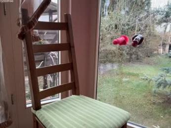 patry333 — Chaturbate stream photo (Mar 2026)