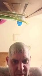 SketchUINetVoid — Cam4 stream photo (Mar 2026)