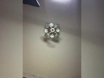 The-best-babies — 在 bongacams 直播的网络摄像头模特