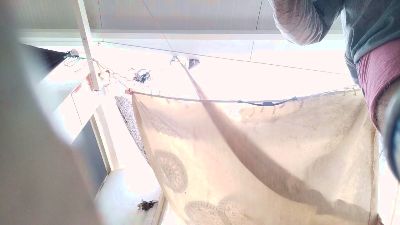 Machobearhot — Cam4 stream photo (Oct 2025)