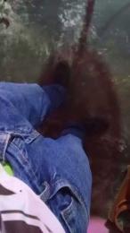 RoyalMaster_xxx — Cam4 stream photo (Feb 2026)