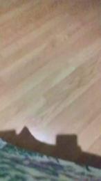 pollon531 — 在 cam4 直播的网络摄像头模特