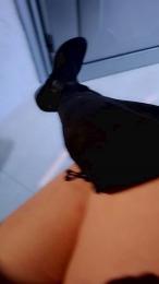 Tania__honey — 在 cam4 直播的网络摄像头模特