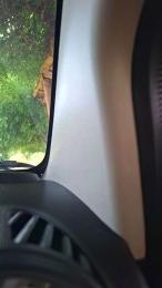 Tania__honey — cam4