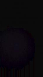 Jessicahe — 在 cam4 直播的网络摄像头模特