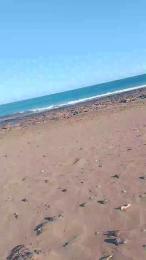 seby1982 — 在 cam4 直播的网络摄像头模特