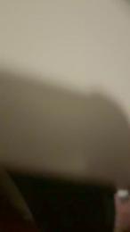 Stallone_ita_62 — Cam4 profile photo