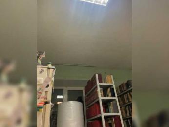 alina08 — Bongacams stream photo (Apr 2026)