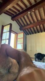EUGENIO80 — Cam4 stream photo (Aug 2026)