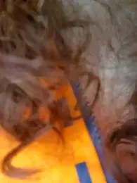 Sharon_Black — Stripchat stream photo (Aug 2025)