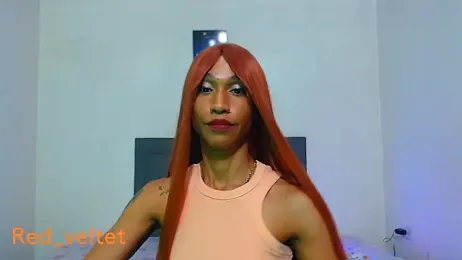 red_veltet — stripchat