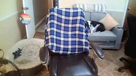 superbearboss — Stripchat stream photo (Mar 2026)