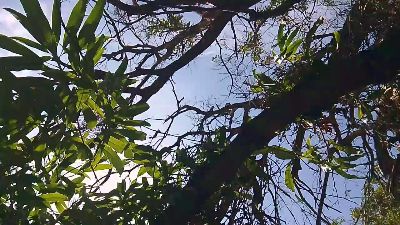 MONSTER777DADDY — Cam4 stream photo (Apr 2026)