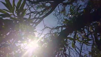 MONSTER777DADDY — Cam4 stream photo (Apr 2026)