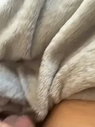 geilerbigdick02 — Stripchat stream photo (Mar 2026)