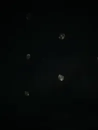 Karla_Stein2026 — Stripchat stream photo (Jan 2026)