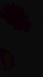 teddy2008 — 在 cam4 直播的网络摄像头模特