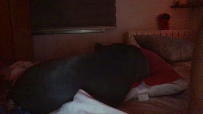 gorka19hot — 在 cam4 直播的网络摄像头模特